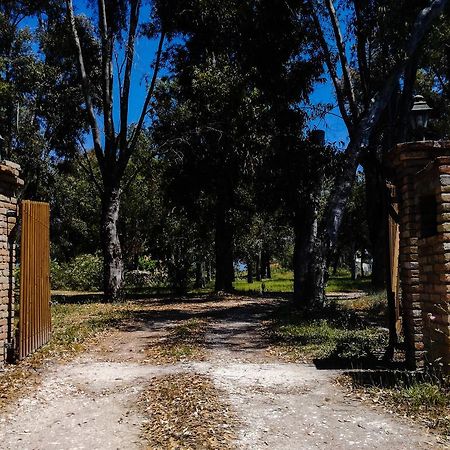 Antonia Beachfront Villa Λευκίμμη Εξωτερικό φωτογραφία